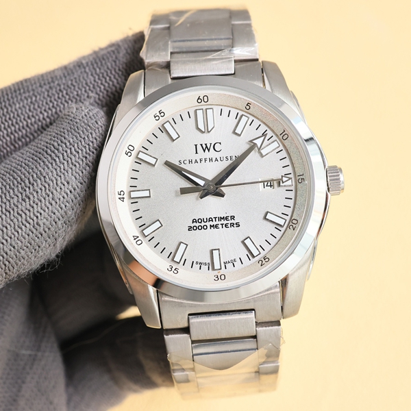 アイ・ダブリュー・シー背面デザイン